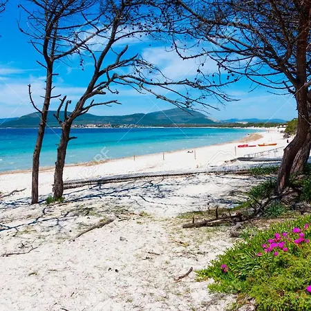 Mistral アパート *